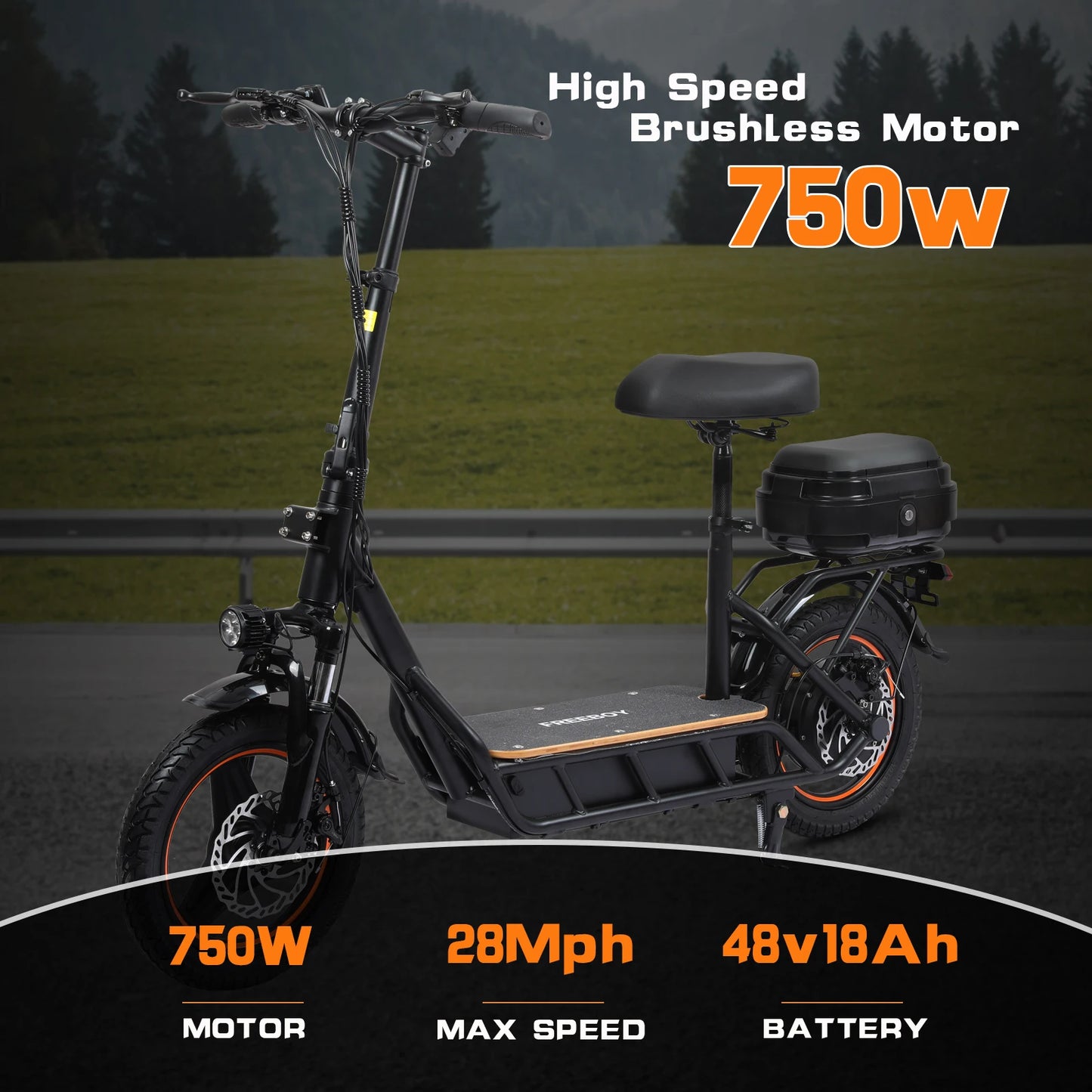 FREEBOY H14 ADULT ELECTRIC SCOOTER 750W MOTOR 48V 18AH FOLDING ELECTRIC SCOOTER 14 INCH TIRE CITY ELECTRIC SCOOTER
