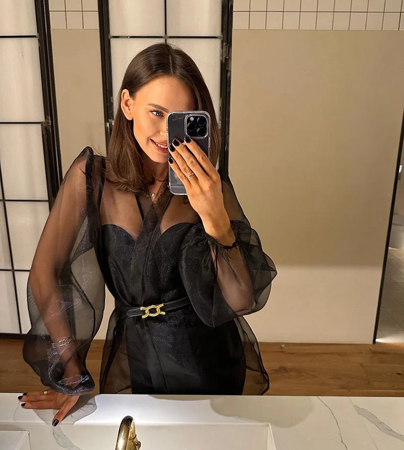 2023 Spring Summer Women Elegant Long Sleeve Solid Grey Mesh Shirt Ladies Sheer Chiffon Blouse For Woman Female