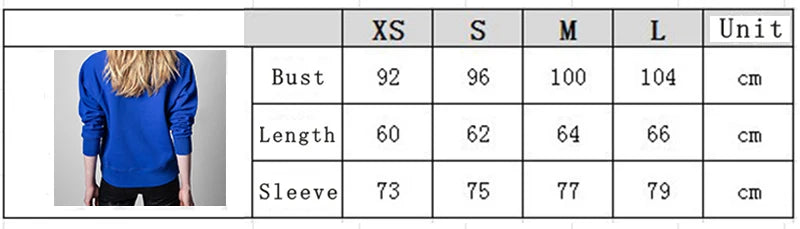 Early autumn new French niche ZV classic letter embroidery pink cotton women's embroidered pullover sweater sweatshirt