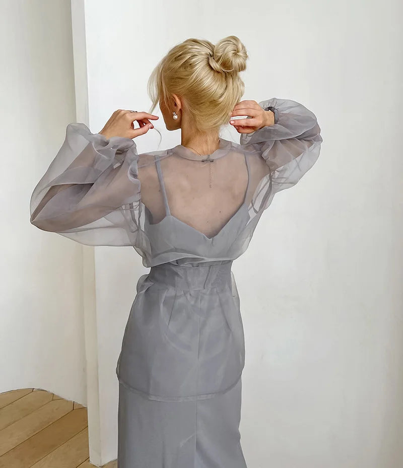 2023 Spring Summer Women Elegant Long Sleeve Solid Grey Mesh Shirt Ladies Sheer Chiffon Blouse For Woman Female